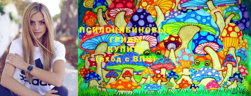 Псилоцибиновые грибы MAGIC MUSHROOMS  Пушкино 